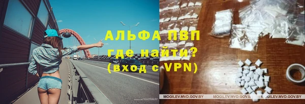 стафф Алексин