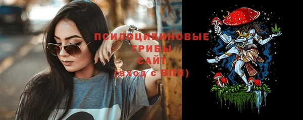 стафф Алексин