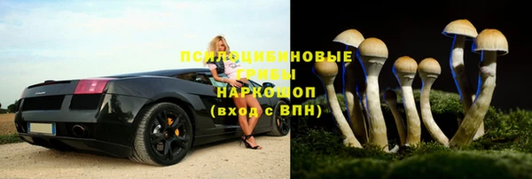стафф Алексин