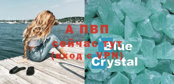 стафф Алексин